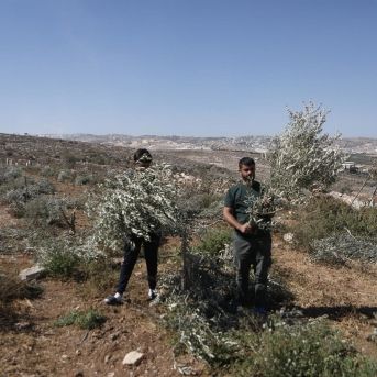 fotonoticia_20251111235058_1920