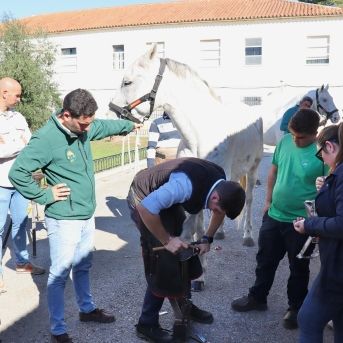 fotonoticia_20251014135557_1920