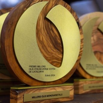 fotonoticia_20251014151639_1920