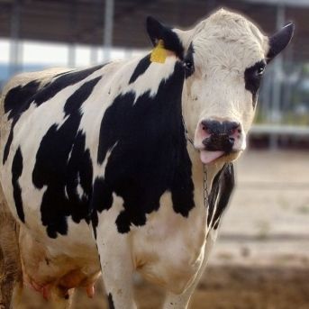 fotonoticia_20251014170957_1920