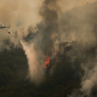 fotonoticia_20251014164110_1920 fotonoticia_20251014164110_1920