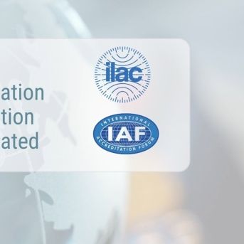 fotonoticia_20251112124428_1920