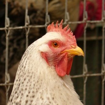 fotonoticia_20251112144226_1920