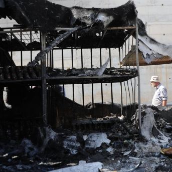 fotonoticia_20251113055332_1920