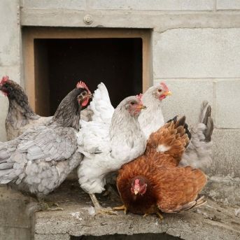 fotonoticia_20251113093640_1920