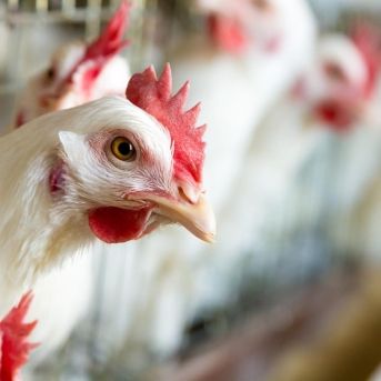 fotonoticia_20251113104145_1920 fotonoticia_20251113104145_1920