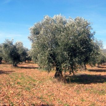 fotonoticia_20251113132325_1920