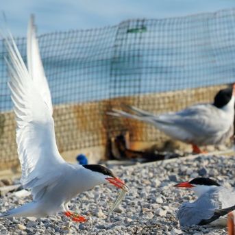 fotonoticia_20251113132502_1920 fotonoticia_20251113132502_1920