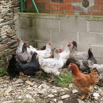 fotonoticia_20251113140251_1920