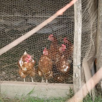 fotonoticia_20251113172026_1920