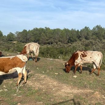 fotonoticia_20251015134244_1920