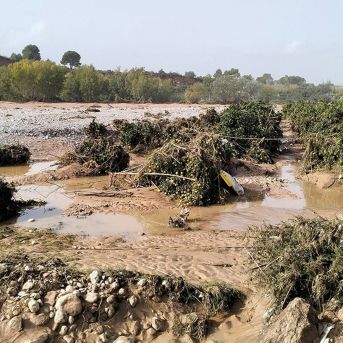 fotonoticia_20251015153007_1920 fotonoticia_20251015153007_1920