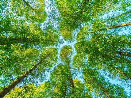 fotonoticia_20251114112609_1920