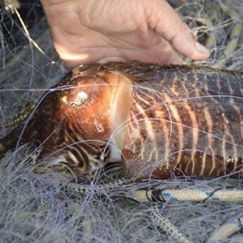 fotonoticia_20251114143312_1920