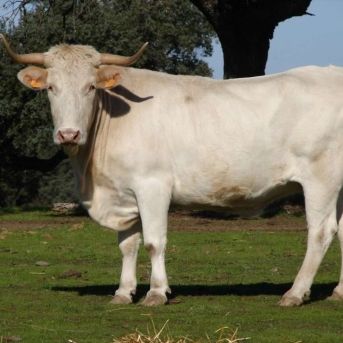 fotonoticia_20251016095713_1920 fotonoticia_20251016095713_1920