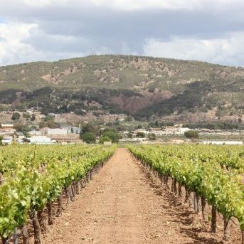 fotonoticia_20251114173437_1920