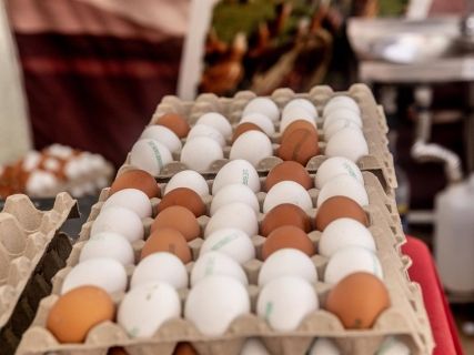 fotonoticia_20251116093549_1920