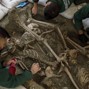 fotonoticia_20251117115348_1920