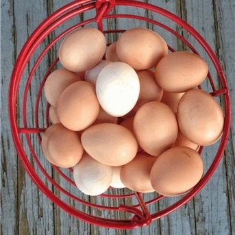 fotonoticia_20251117125623_1920