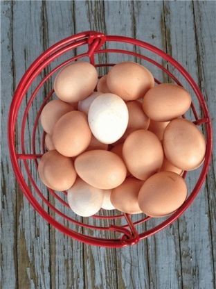 fotonoticia_20251117125623_1920