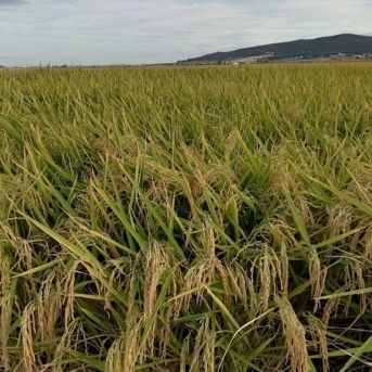 fotonoticia_20251117124325_1920 fotonoticia_20251117124325_1920