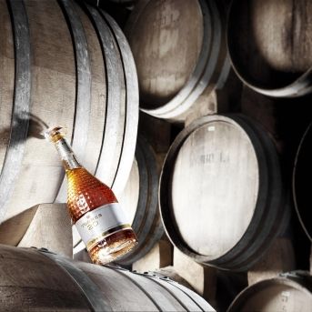 fotonoticia_20251117150655_1920