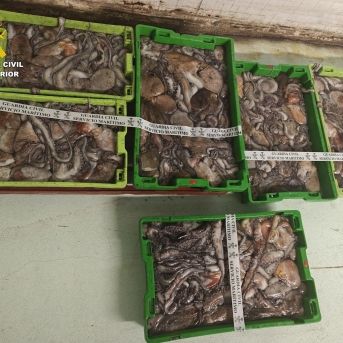 fotonoticia_20251118104046_1920