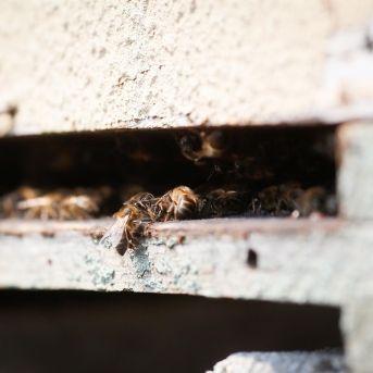 fotonoticia_20251118123033_1920