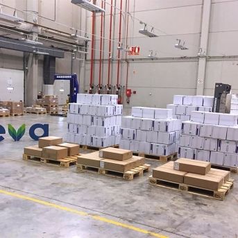 fotonoticia_20251118130413_1920