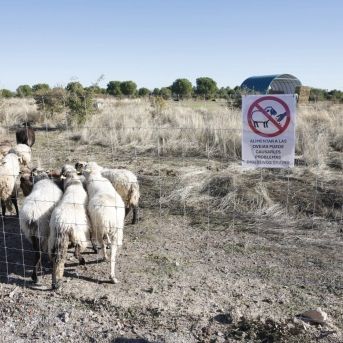 fotonoticia_20251118143236_1920-1