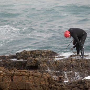 fotonoticia_20251119102340_1920 fotonoticia_20251119102340_1920