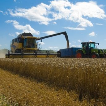 fotonoticia_20251016112602_1920 fotonoticia_20251016112602_1920