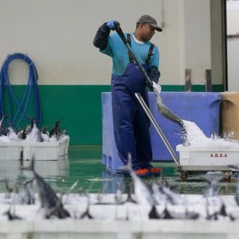 fotonoticia_20251016111429_1920