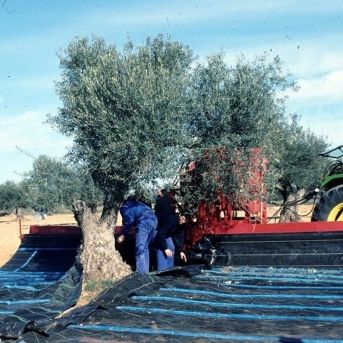 fotonoticia_20251016120548_1920