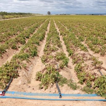 fotonoticia_20251119143101_1920-1