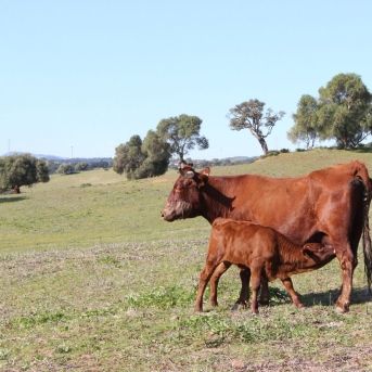 fotonoticia_20251119162536_1920 fotonoticia_20251119162536_1920