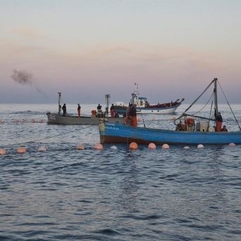 fotonoticia_20251119181331_1920