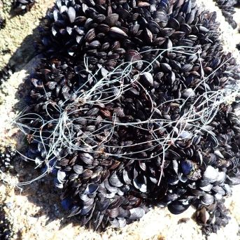 fotonoticia_20251120111351_1920 fotonoticia_20251120111351_1920