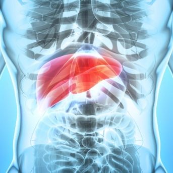 fotonoticia_20251120124614_1920 fotonoticia_20251120124614_1920