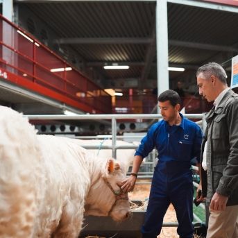 fotonoticia_20251017132633_1920