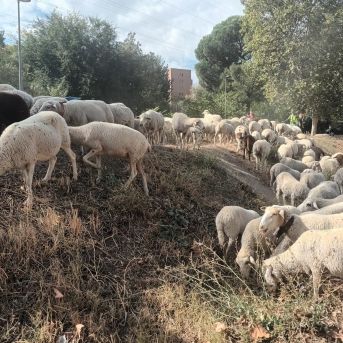 fotonoticia_20251017135524_1920