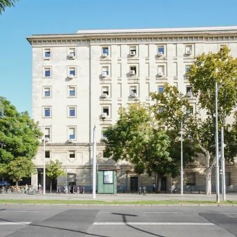 fotonoticia_20251121131415_1920 fotonoticia_20251121131415_1920