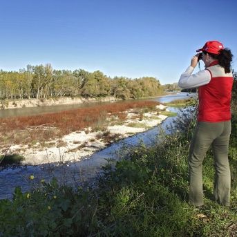 fotonoticia_20251121171000_1920