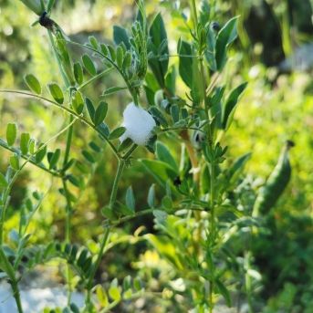 fotonoticia_20251122134450_1920