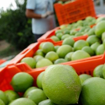 fotonoticia_20250714104933_1920 fotonoticia_20250714104933_1920