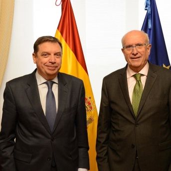 fotonoticia_20250717144631_1920