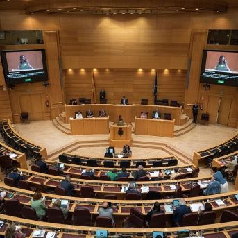 fotonoticia_20250717150940_1920