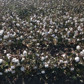 fotonoticia_20251006181522_1920