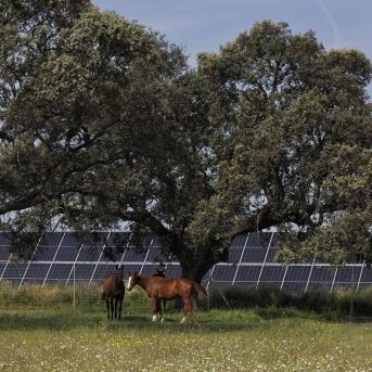 fotonoticia_20251124101952_1920