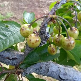 fotonoticia_20251124123216_1920